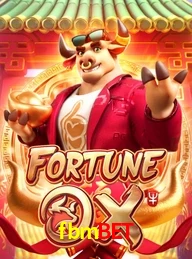 FBMBET.COM